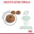Royal Canin Digestive Care 10 kg