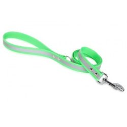   Firedog BioThane póráz Fényvisszaverő 25 mm 3 m fogóval & D-ring light green