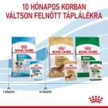 Royal Canin Mini Puppy 85 g