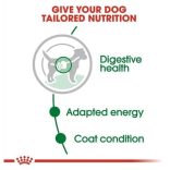 Royal Canin Mini Adult 85 g