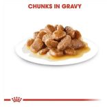 Royal Canin Mini Adult 85 g