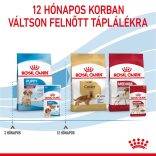 Royal Canin Medium Puppy 140 g