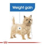 Royal Canin Light Weight Care 85 g