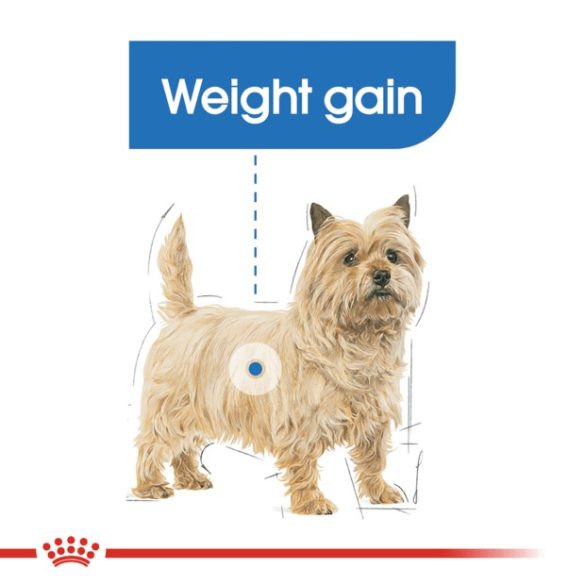 Royal Canin Light Weight Care 85 g