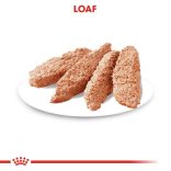 Royal Canin Light Weight Care 85 g