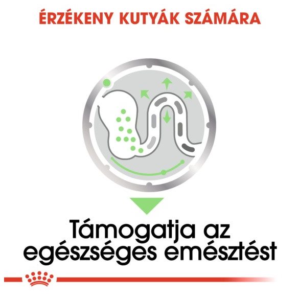 Royal Canin Digestive Care 85 g