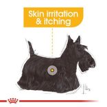 Royal Canin Dermacomfort 85 g
