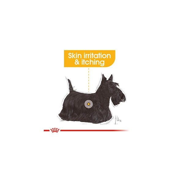 Royal Canin Dermacomfort 85 g