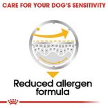Royal Canin Dermacomfort 85 g