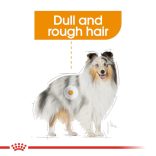 Royal Canin Coat Care Loaf 85 g