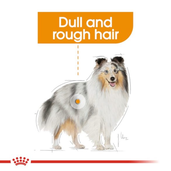 Royal Canin Coat Care Loaf 85 g