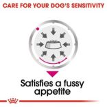 Royal Canin Exigent Loaf 85 g