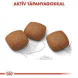 Royal Canin Maxi Joint Care 10 kg