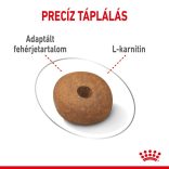 Royal Canin Medium Light Weight Care 3 kg