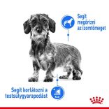 Royal Canin Mini Light Weight Care 3 kg