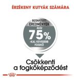 Royal Canin Maxi Dental Care 9 kg