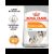 Royal Canin Mini Coat Care 1 kg