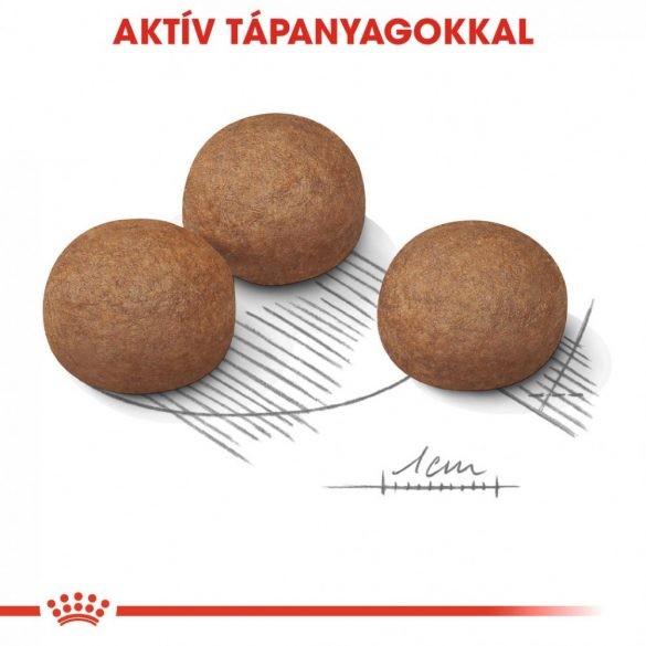 Royal Canin Mini Digestive Care 8 kg