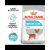 Royal Canin Mini Urinary Care 1 kg