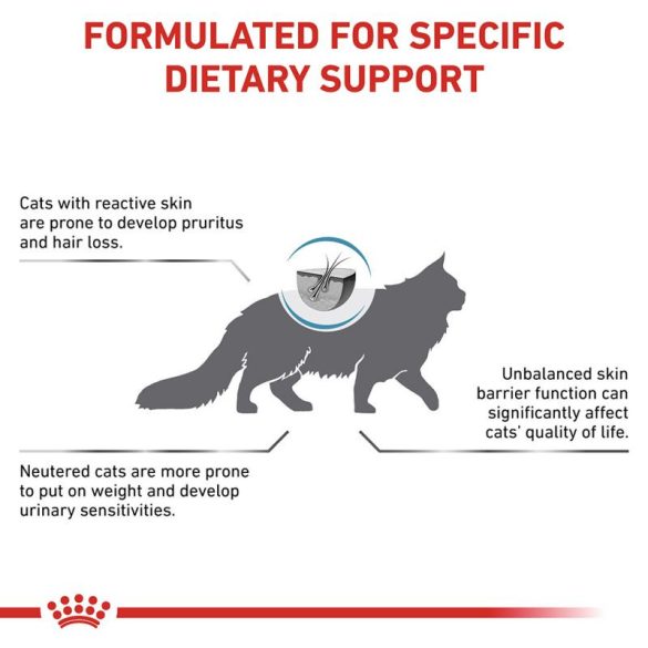 Royal Canin Veterinary Feline Skin & Coat 400 g