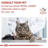 Royal Canin Veterinary Feline Skin & Coat 400 g