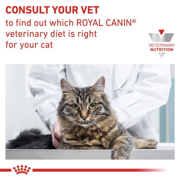 Royal Canin Veterinary Feline Skin & Coat 400 g