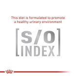 Royal Canin Veterinary Feline Skin & Coat 1,5 kg