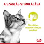 ROYAL CANIN CAT SENSORY SMELL GRAVY 85G