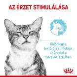 ROYAL CANIN CAT SENSORY FEEL JELLY 85G