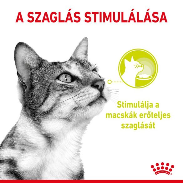 ROYAL CANIN CAT SENSORY SMELL JELLY 85G