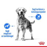 Royal Canin Medium Light Weight Care 12 kg