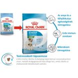 Royal Canin Mini Starter 4 Kg