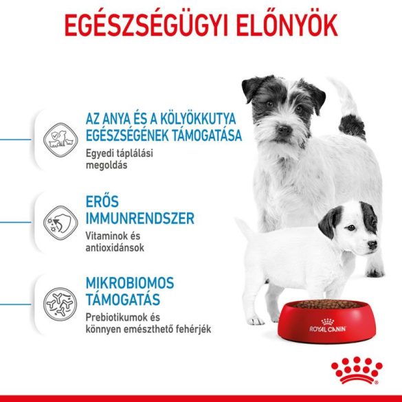 Royal Canin Mini Starter 4 Kg