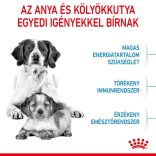 Royal Canin Medium Starter 15 kg