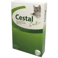 Cestal Cat