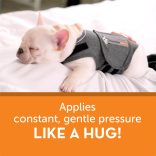 Thundershirt Nyugi mellény Dog Grey M 