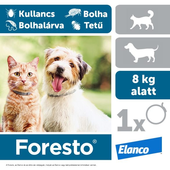 Foresto kicsi 38 cm-es nyakörv (8 kg-ig)
