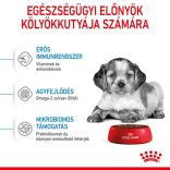 Royal Canin Medium Puppy 1 kg
