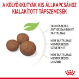 Royal Canin Medium Puppy 1 kg