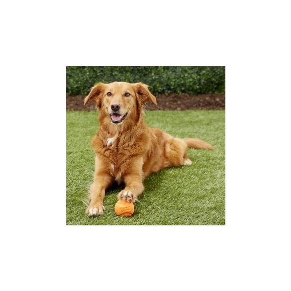 Chuckit! Fetch messzire szálló labda kicsi 5 cm 2 db