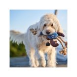 Hunter Canvas Sansibar Rantum Rák