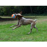 Chuckit Indoor Ball beltéri labda 13 cm