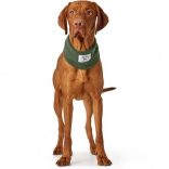 Hunter Nancy kutyasál