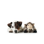 Hunter Pori kutya bézs 18 cm