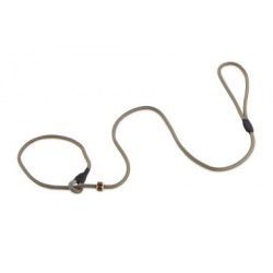   Firedog Moxon retriever póráz Profi 6 mm 110 cm stripes golden orange/light blue