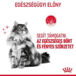 Royal Canin Cat Hair & Skin Care szószban 85 g