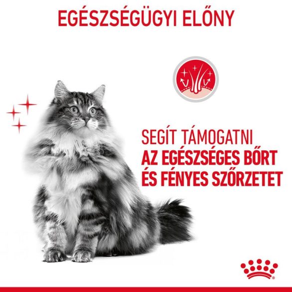 Royal Canin Cat Hair & Skin Care szószban 85 g