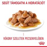 Royal Canin Cat Hair & Skin Care szószban 85 g