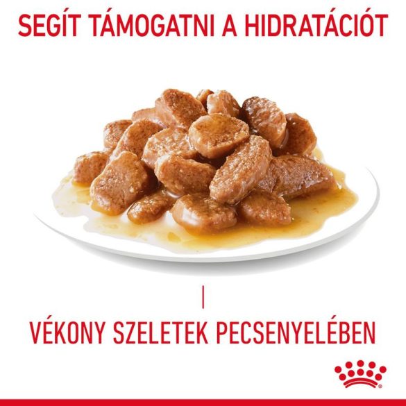 Royal Canin Cat Hair & Skin Care szószban 85 g