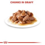 Royal Canin Feline Instinctive gravy 85 g